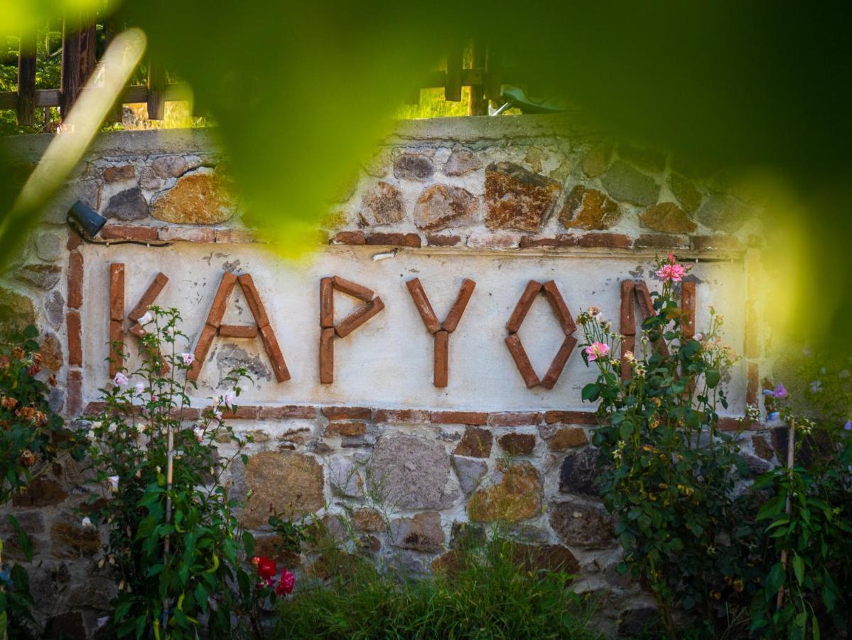 Karyon Apartments Kariófiton Extérieur photo